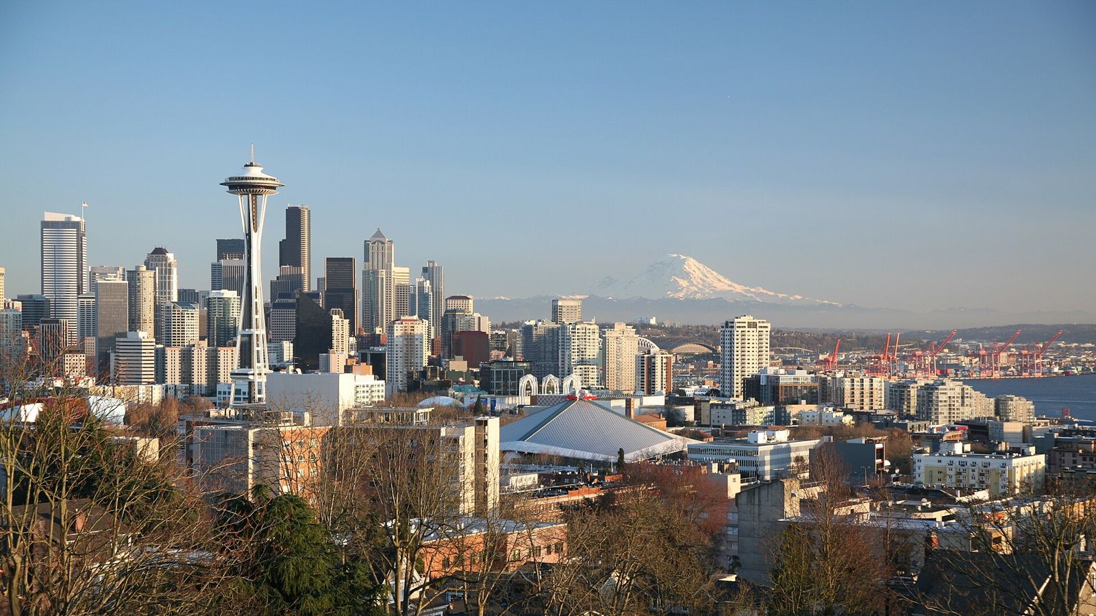 Cruise ships at Port of Seattle